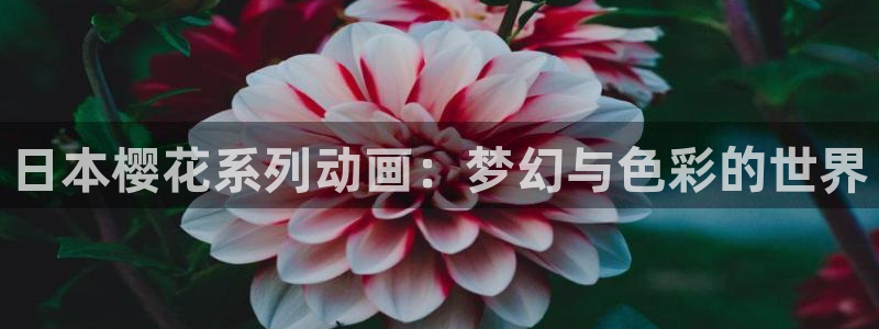 韩漫漫画正版网：日本樱花系列动画：梦幻与色彩的世界