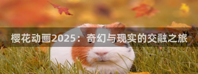 韩漫漫画下载入口：樱花动画2025：奇幻与现实的交融之旅