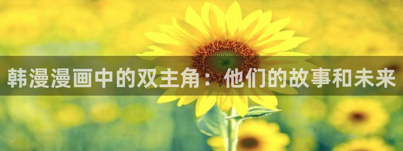 韩漫漫画：韩漫漫画中的双主角：他们的故事和未来