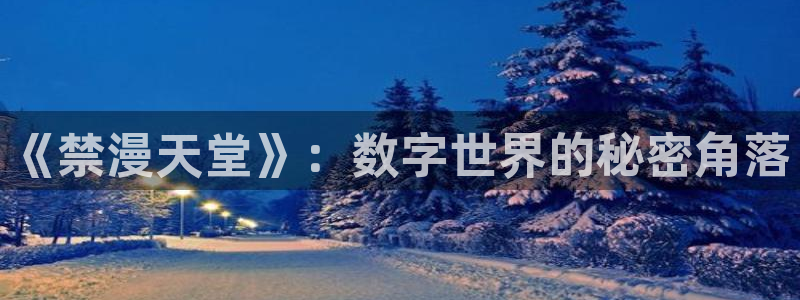 在线动画动漫下载韩漫漫画：《禁漫天堂》：数字世界的秘密角落