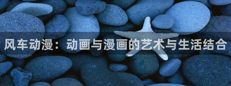 韩漫漫画下载：风车动漫：动画与漫画的艺术与生活结合