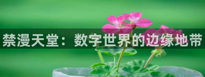 韩漫漫画樱花：禁漫天堂：数字世界的边缘地带