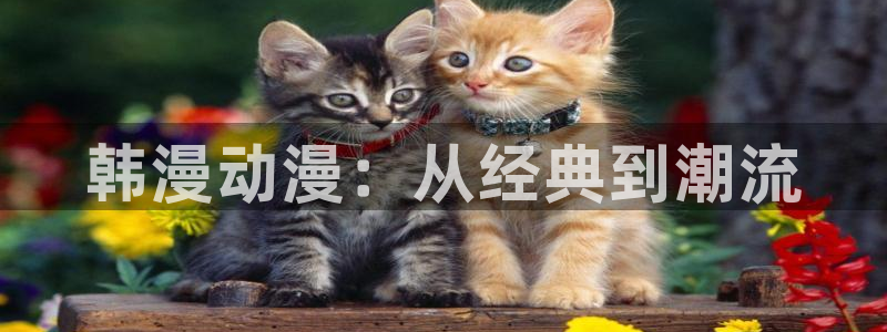 韩漫漫画樱花：韩漫动漫：从经典到潮流