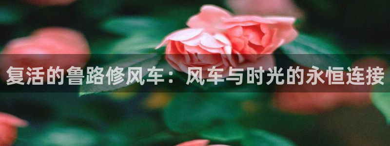 韩漫漫画网官网入口：复活的鲁路修风车：风车与时光的永恒连接