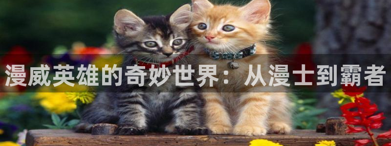 韩漫漫画正版网：漫威英雄的奇妙世界：从漫士到霸者